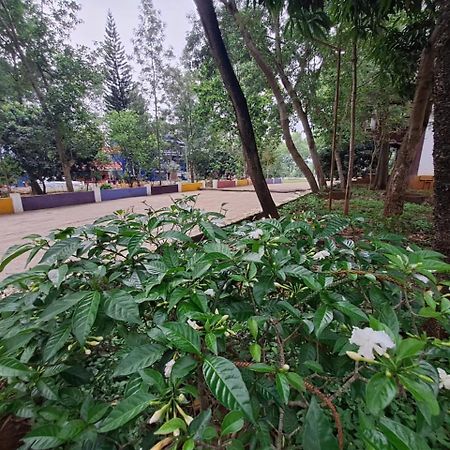 日出度假村 亚里库 外观 照片