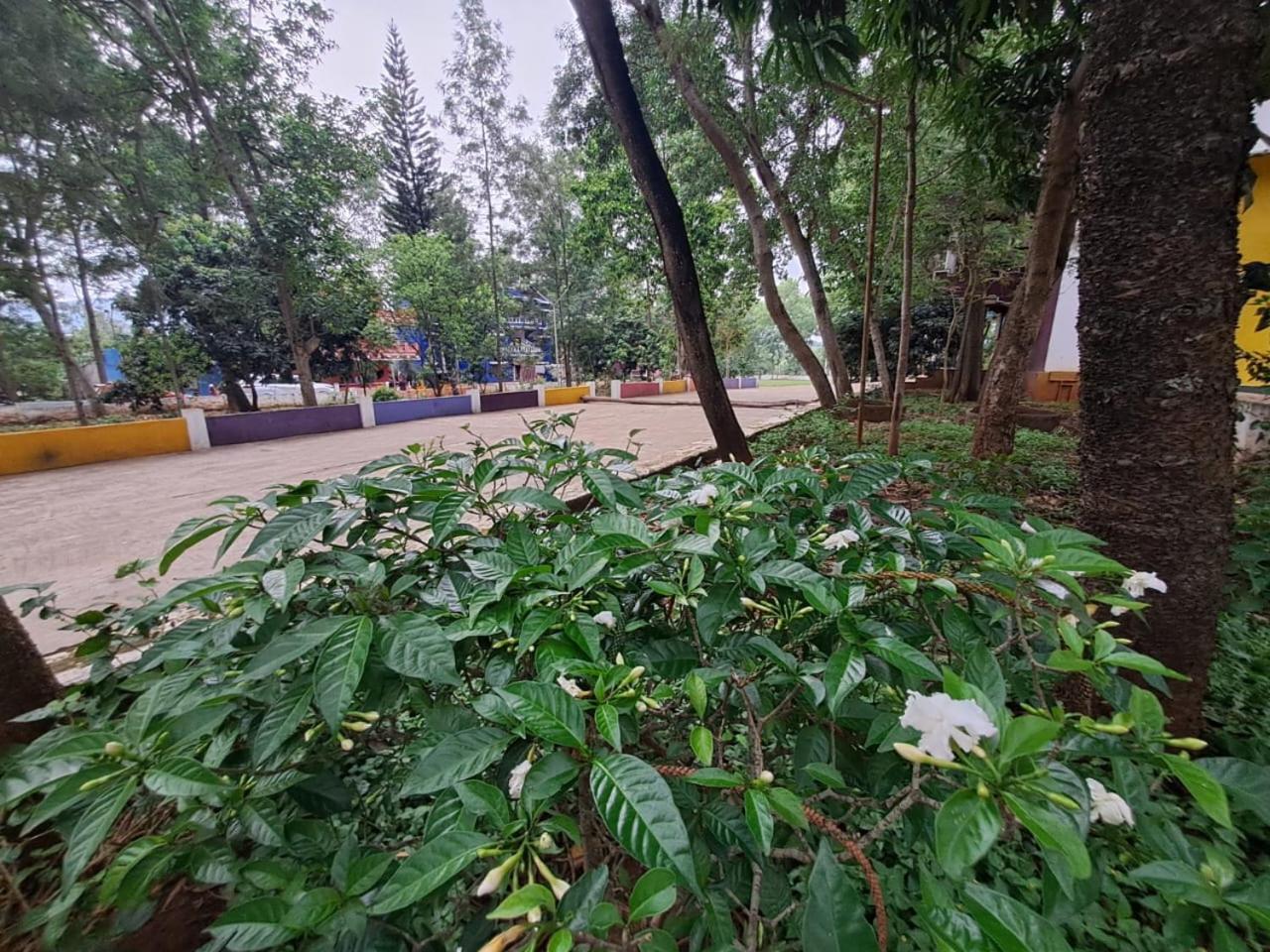 日出度假村 亚里库 外观 照片